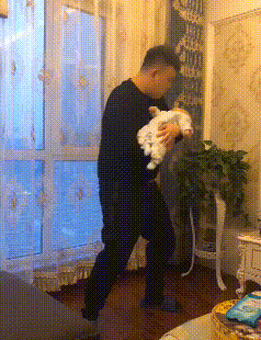 1713942713448491.gif 10010.gif